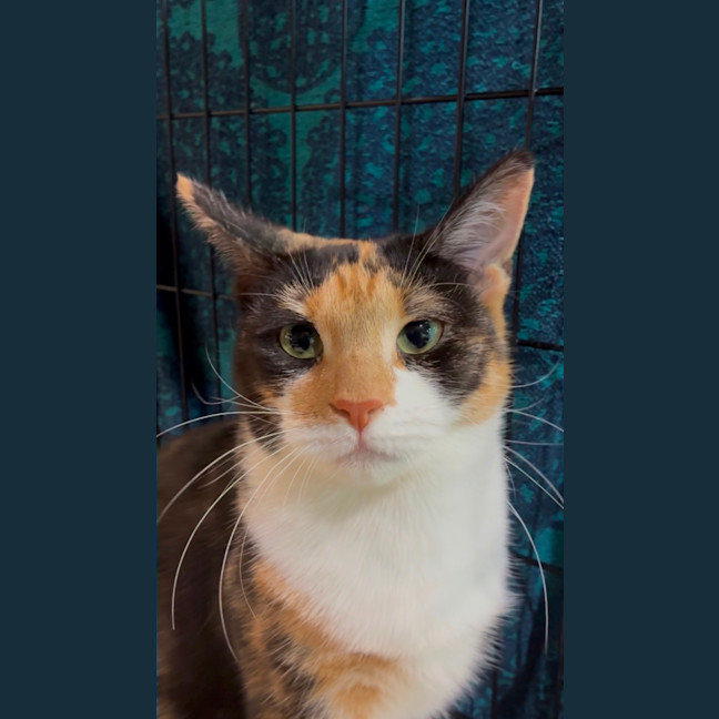 Photo of Jesie