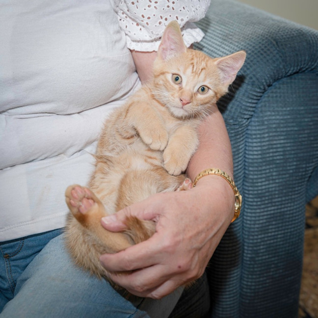 Photo of Pepper