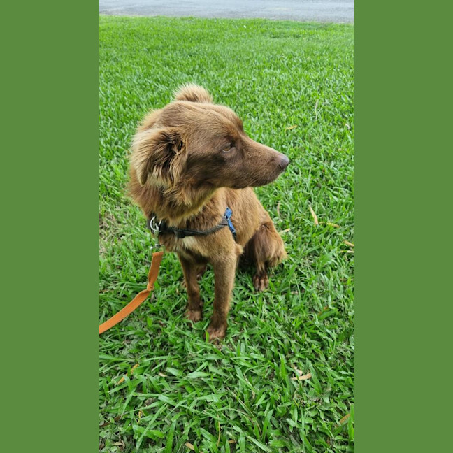 Photo of Alfie