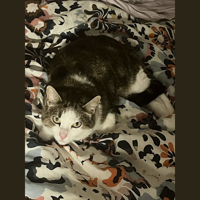 Photo of Esmerelda