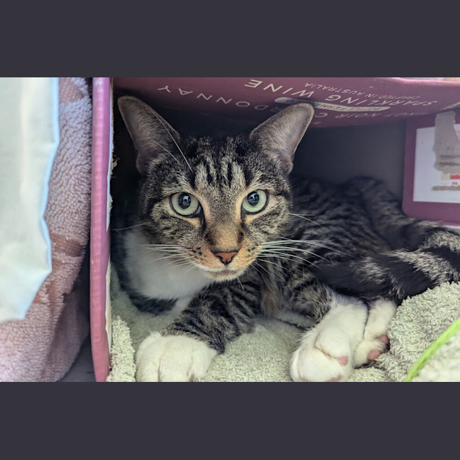 Photo of Tiggy