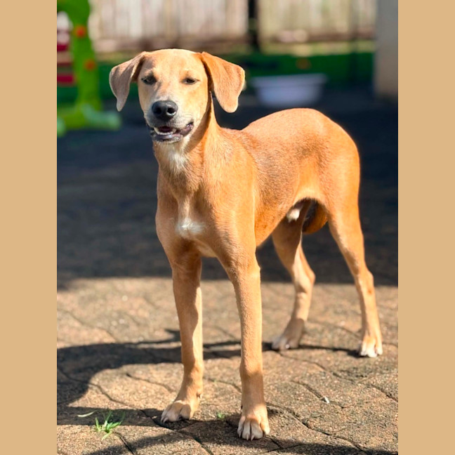 Photo of Archer