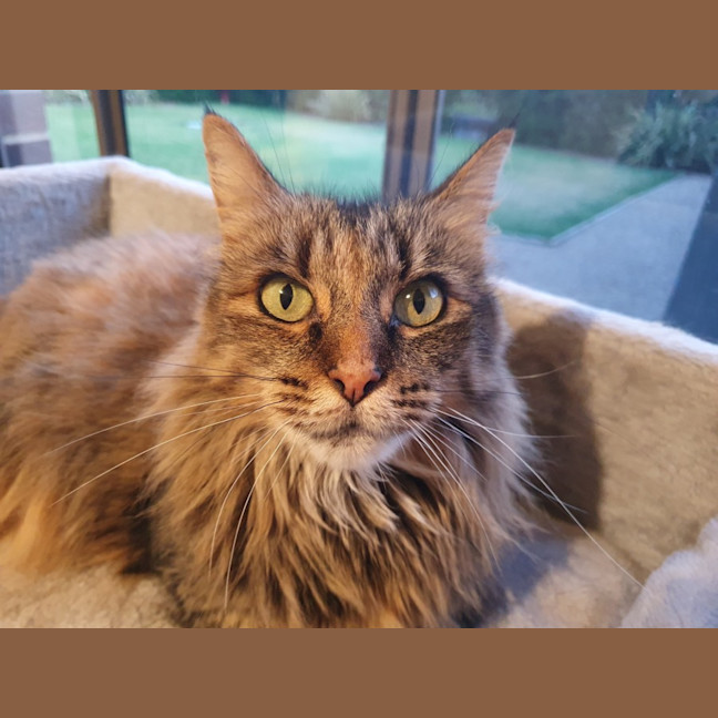 Photo of Nina O’cleary