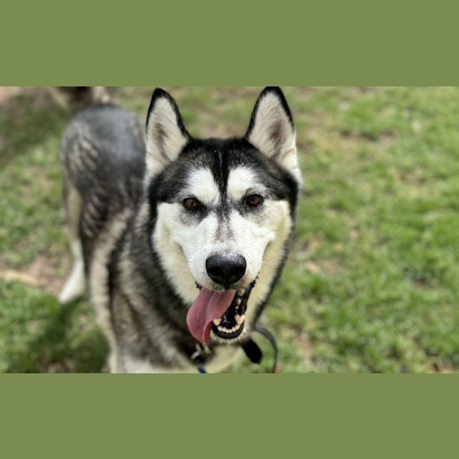 Photo of Bucky