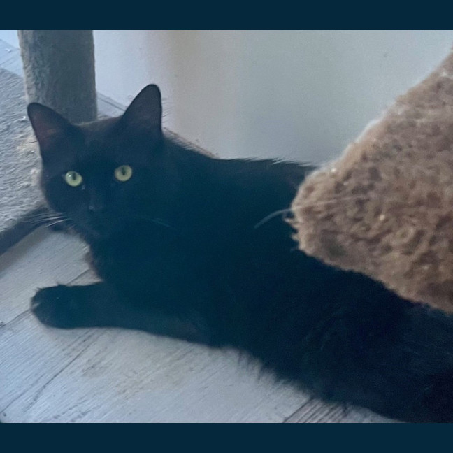 Photo of Douglas (9193)