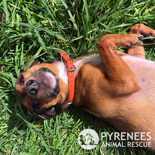 Photo of Bert And Ernie