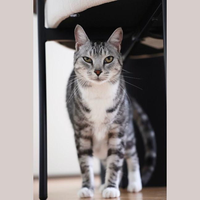 Photo of Mr. Affectionate 