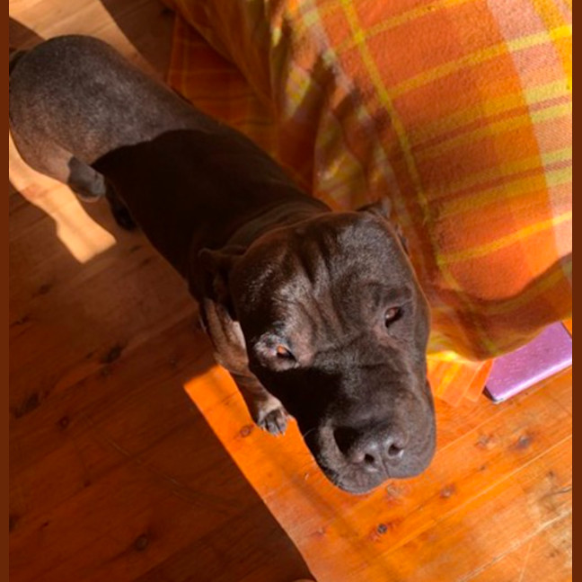 Photo of Wrinkle