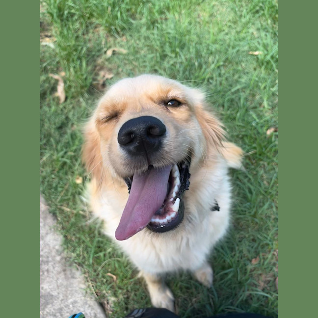 Photo of Maggie