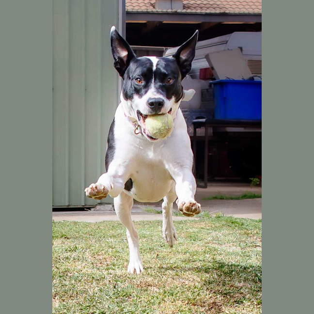 Photo of Maggie Junee