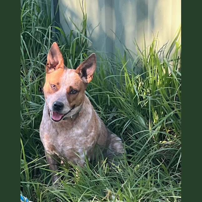 Photo of Mookie