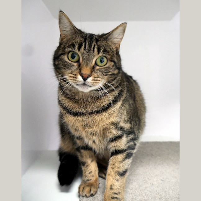 Photo of Samantha Sta012697