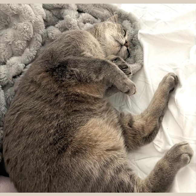 Photo of Olivia