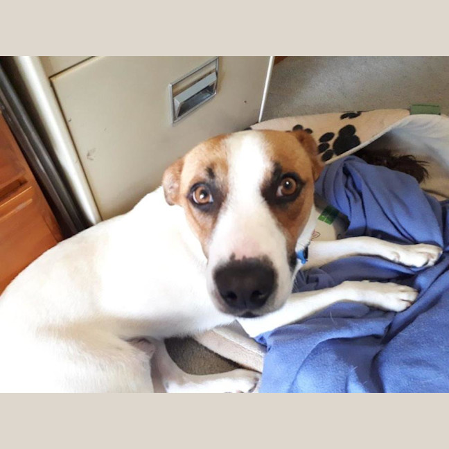 Photo of Jackson Moriarty