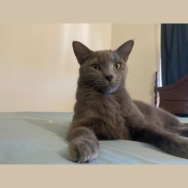 Photo of Nori & Nina