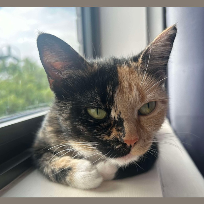 Photo of Ruby ❤️