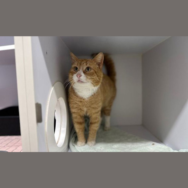 Photo of Pudge