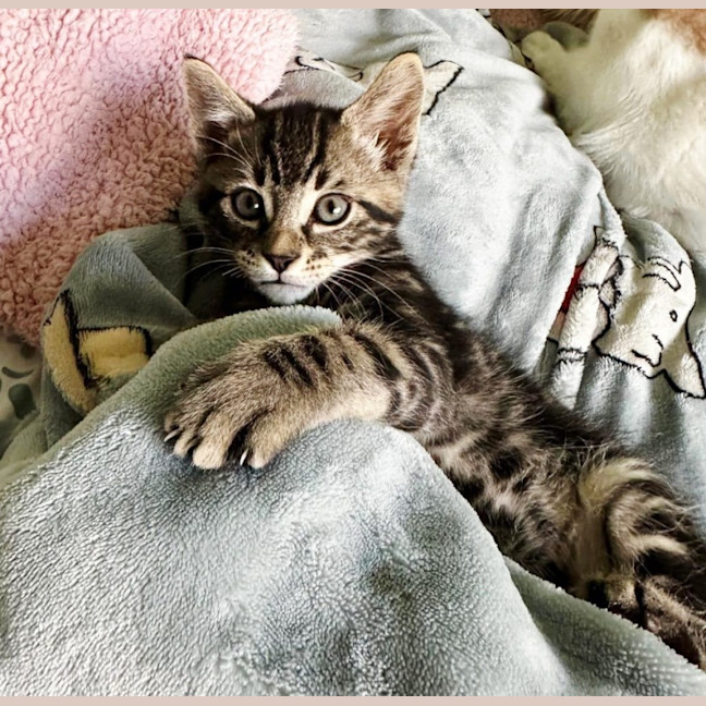 Photo of Sam
