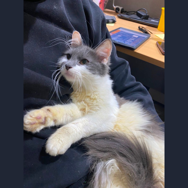 Photo of Rori