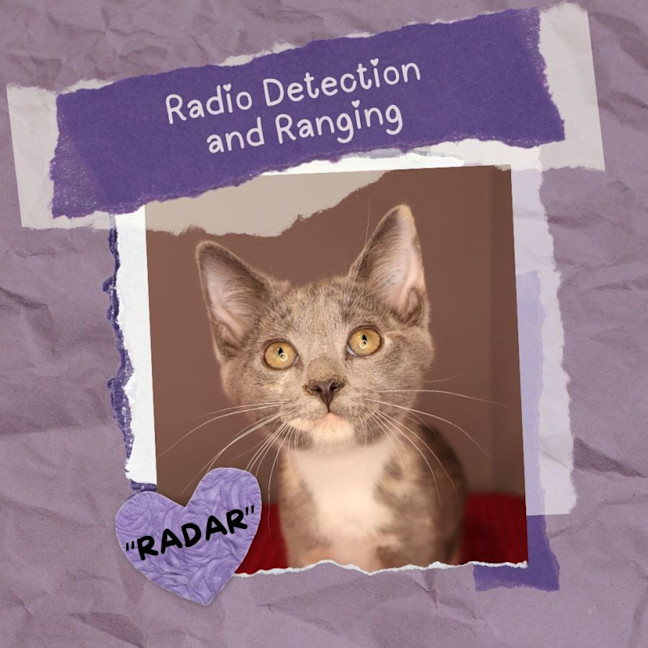Photo of R.A.D.A.R.