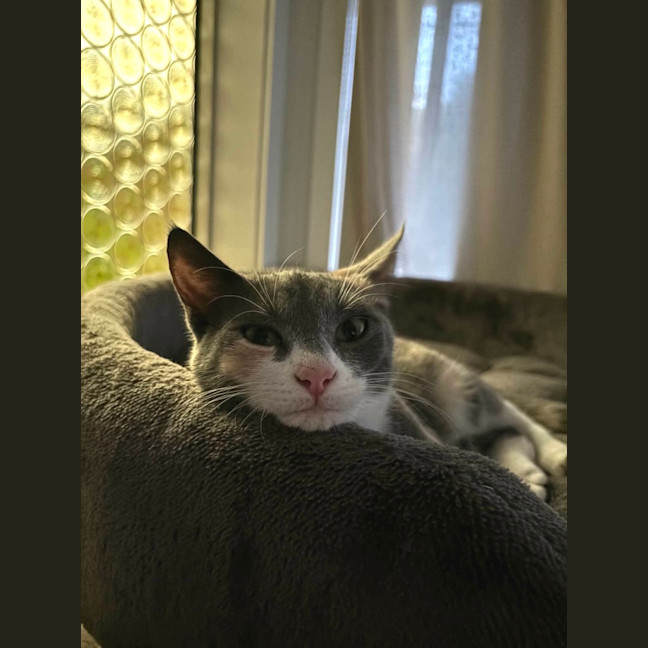 Photo of Calypso