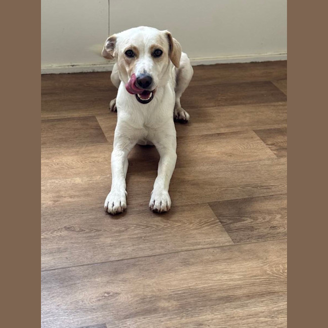 Photo of Cj (Captain Jack)