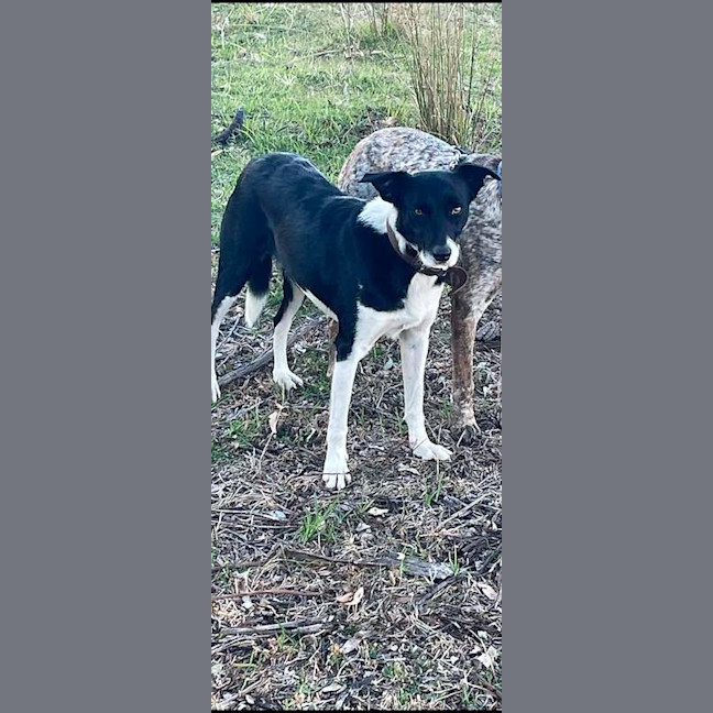 Photo of Maggie