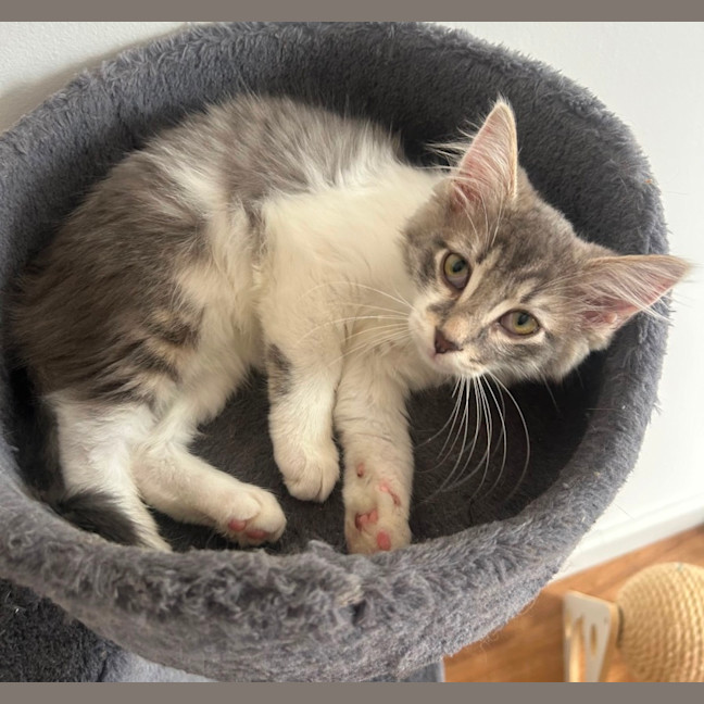 Photo of Cherub & Rudolf 