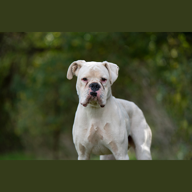 Photo of Beny