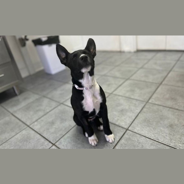 Photo of Maggie