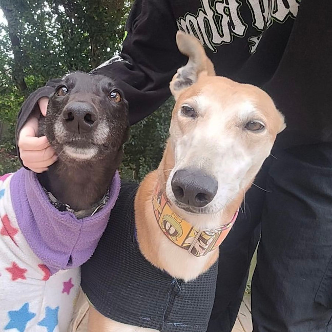 Photo of Jared (Jezza)