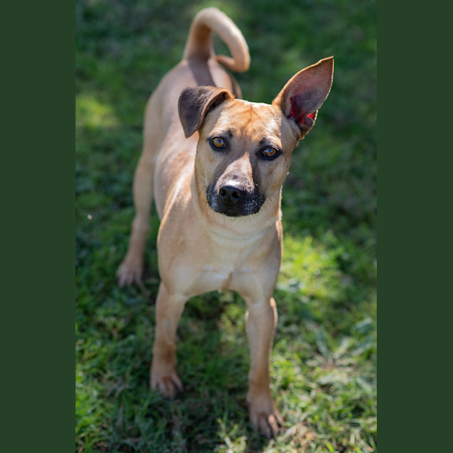 Photo of Bruno