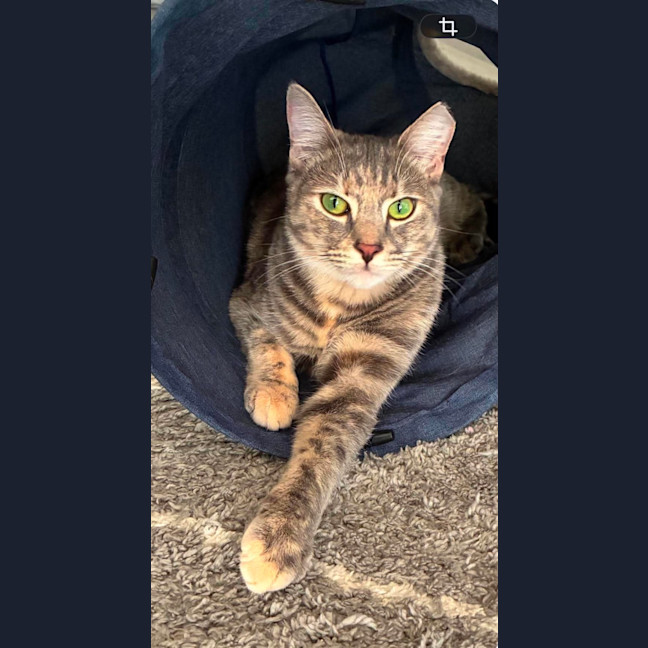 Photo of Charlotte