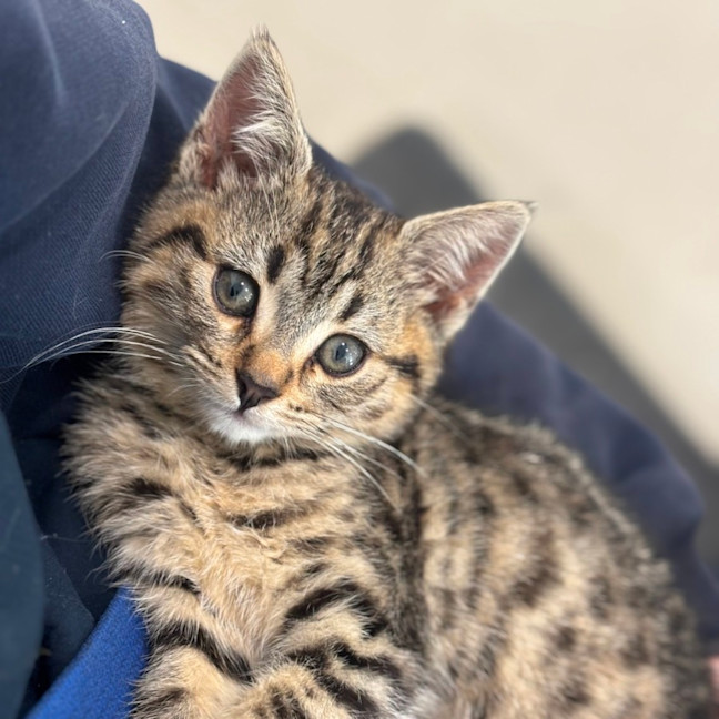 Photo of Tom