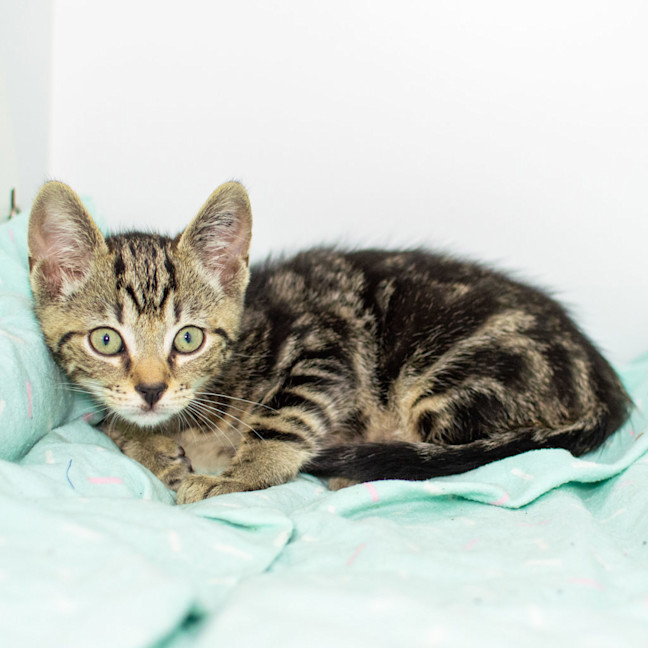 Photo of Ernie
