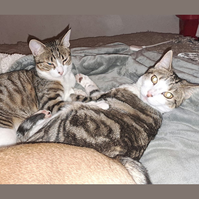 Photo of Everhart & Fairlight