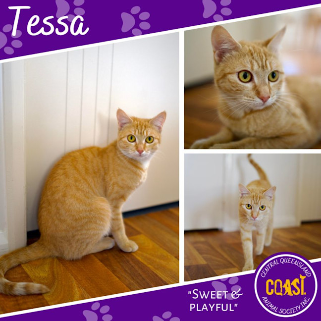 Photo of Tessa