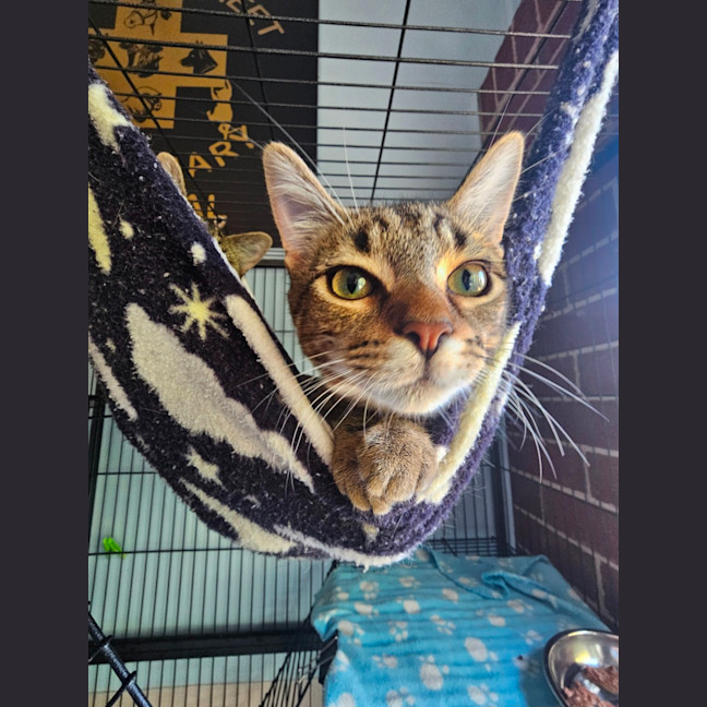 Photo of Thelma & Louise