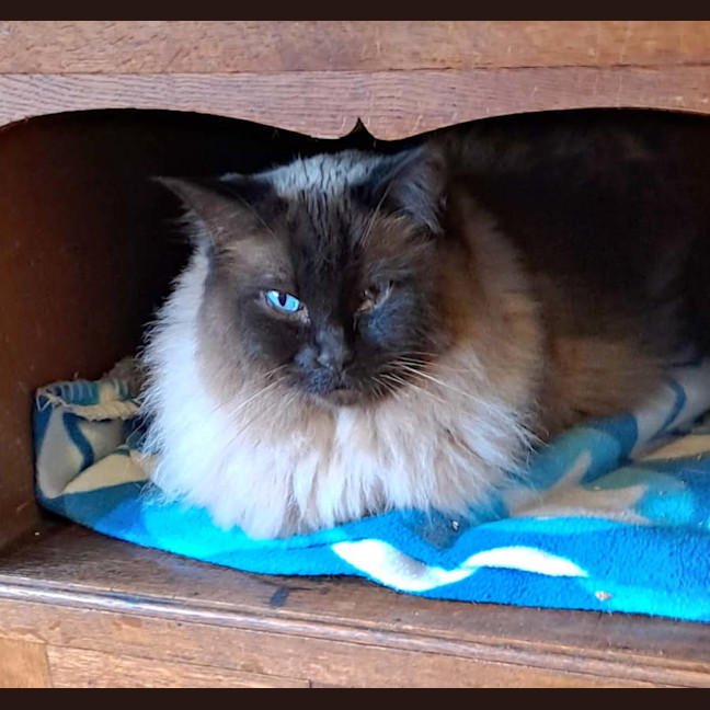 Photo of Hamish 