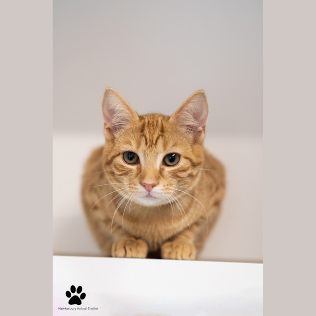 Photo of Velma