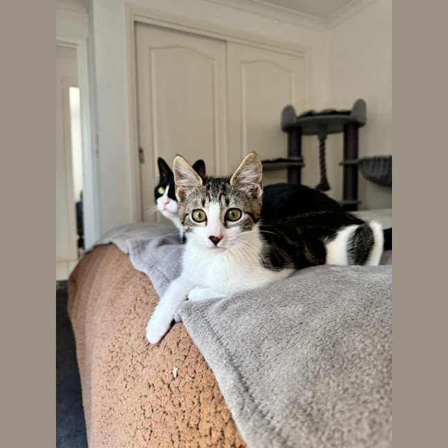 Photo of Hamish