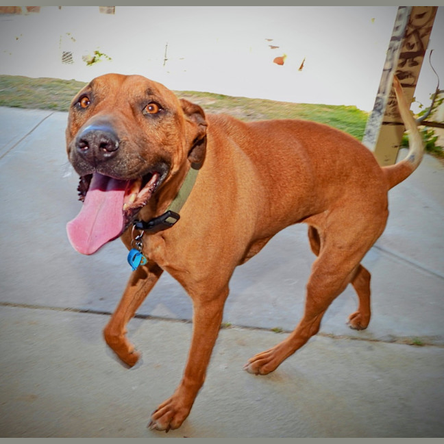 Photo of Lucy