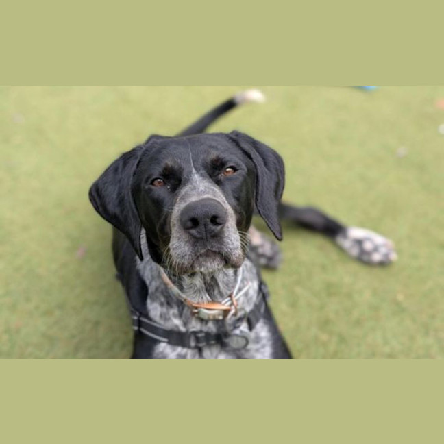 Photo of Gus