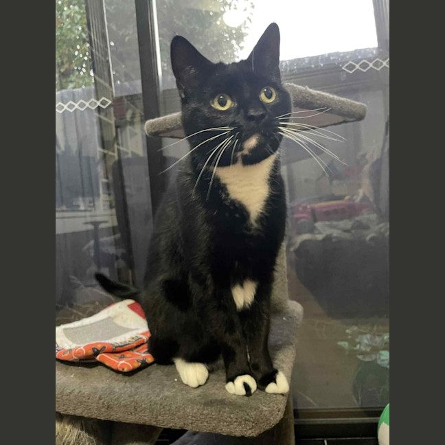 Photo of Hershey   Located In Bentleigh East