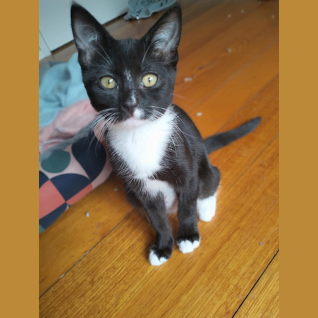 Photo of 🌸 Delta 🌸