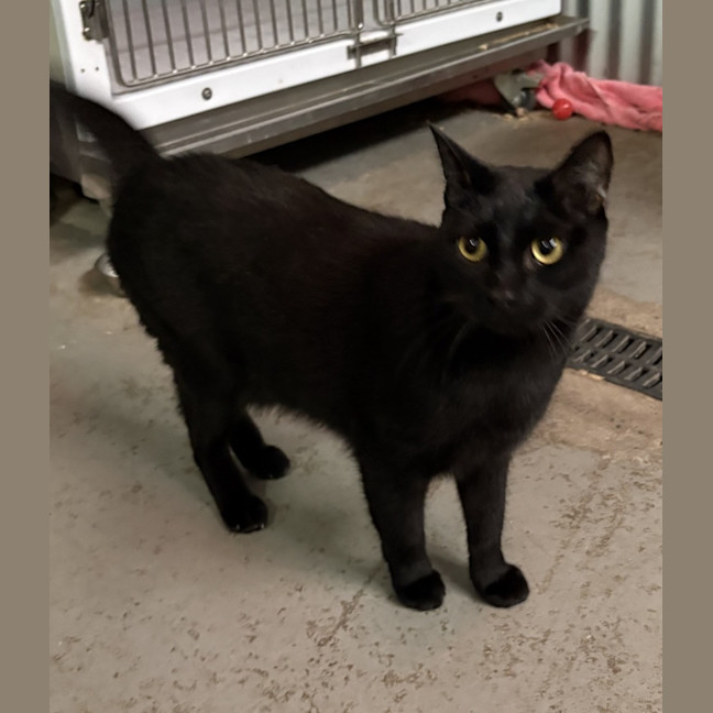 Photo of Taco