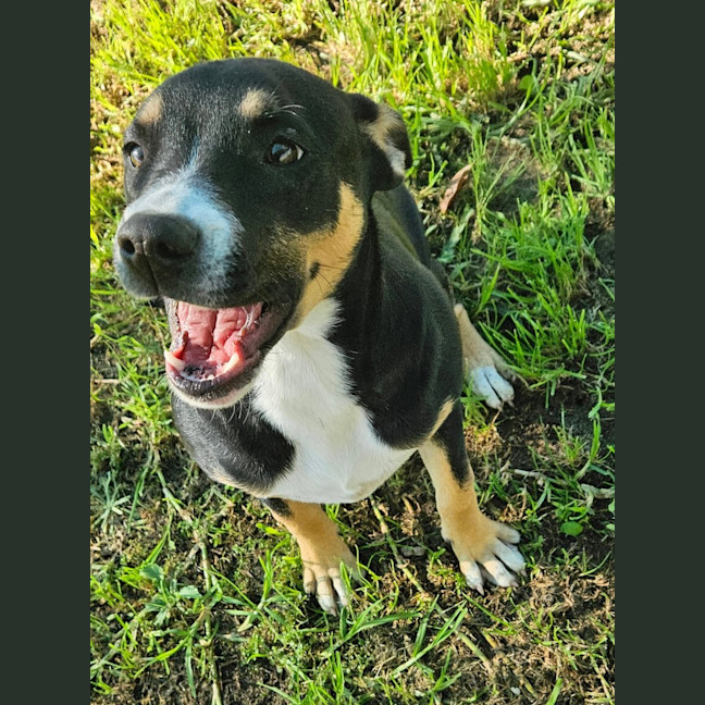Photo of Remy