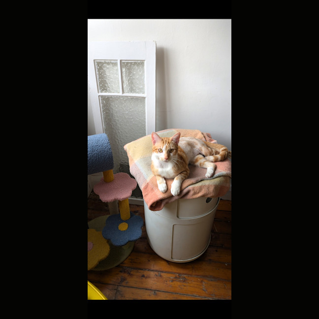 Photo of Sunny