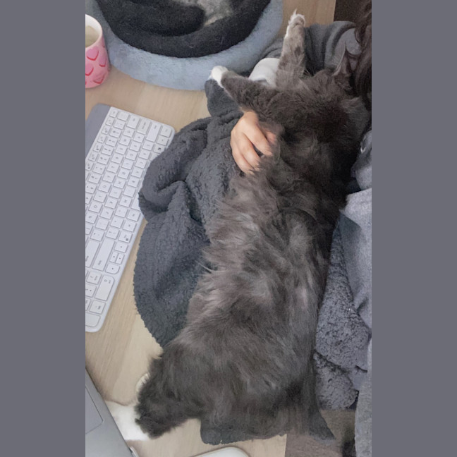 Photo of Arlo