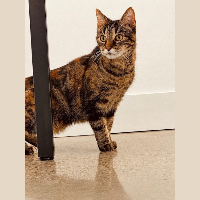 Photo of Zoe